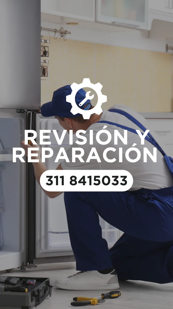 Revisión y reparación
